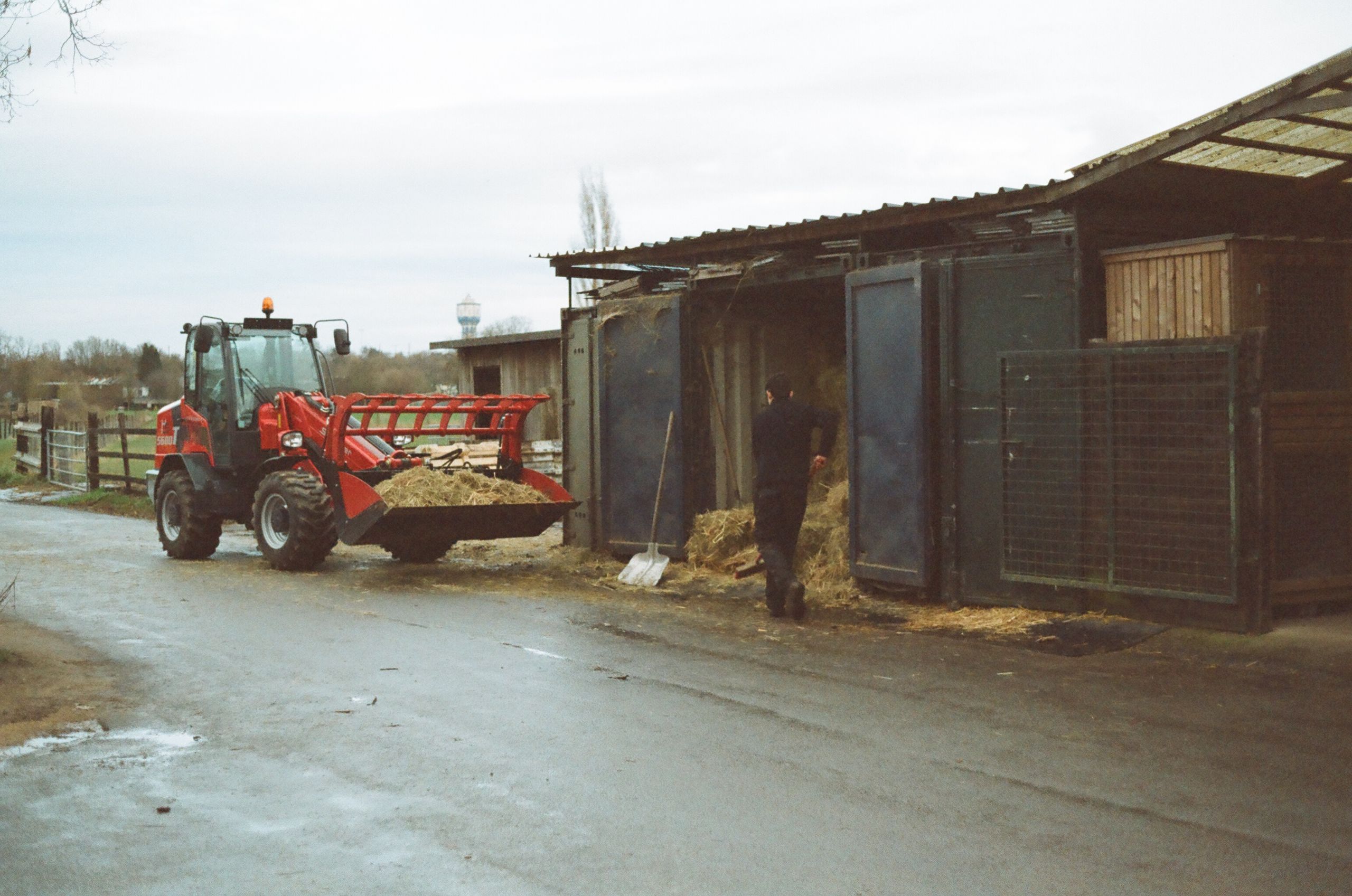 Back view of unrecognizable male farmer collecting hay with pitchfork and shovel into hangar near modern tractor in countryside