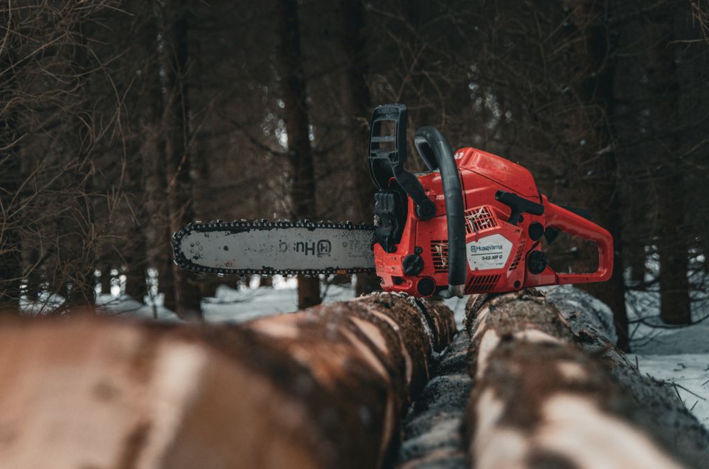 Forestry Machinery Dealers vs Marketplaces: Which Is Safer? 1 Red chainsaw placed on tree logs in a snow-covered forest, capturing a winter timber scene.