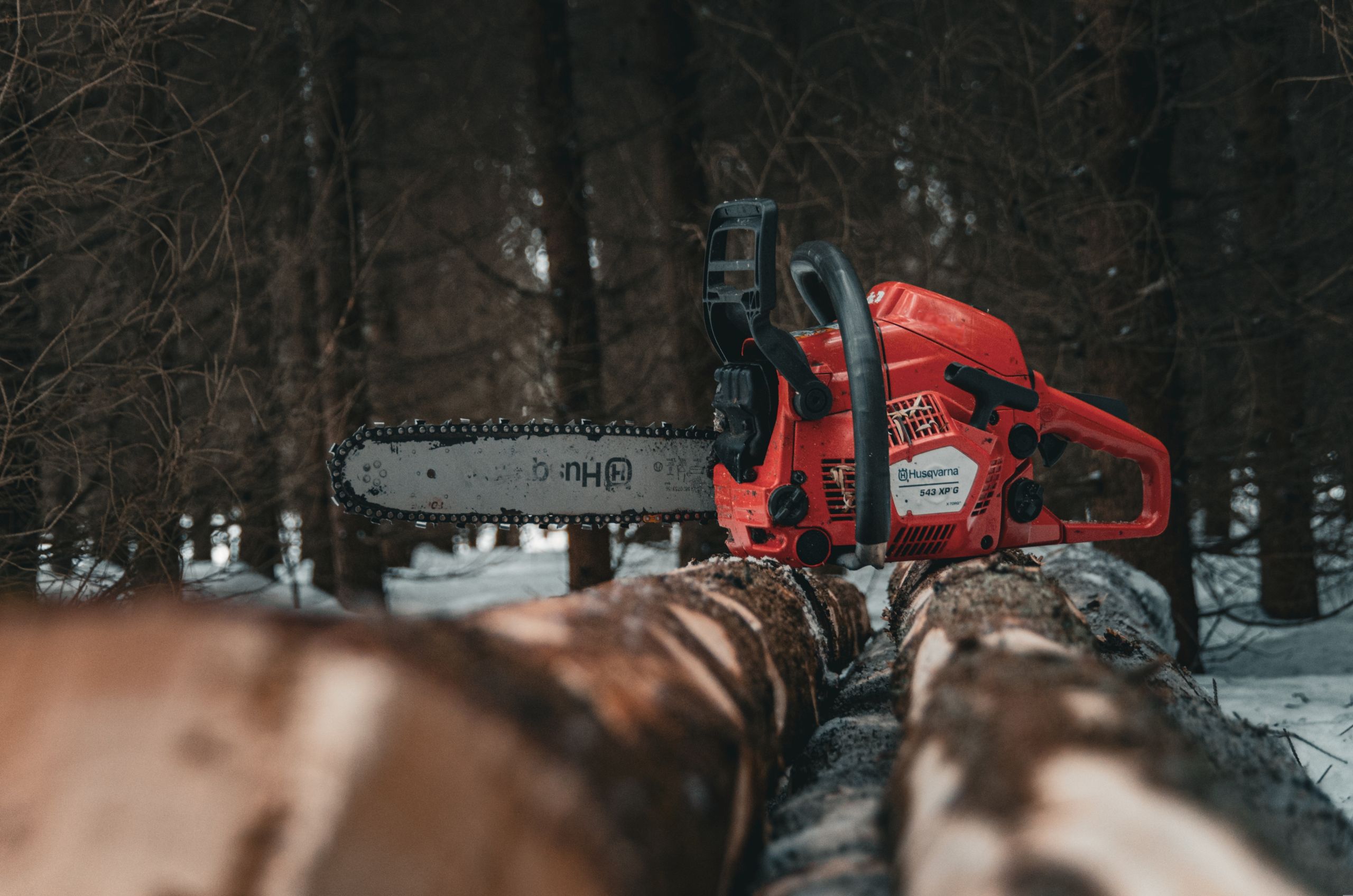 Red chainsaw placed on tree logs in a snow-covered forest, capturing a winter timber scene.
